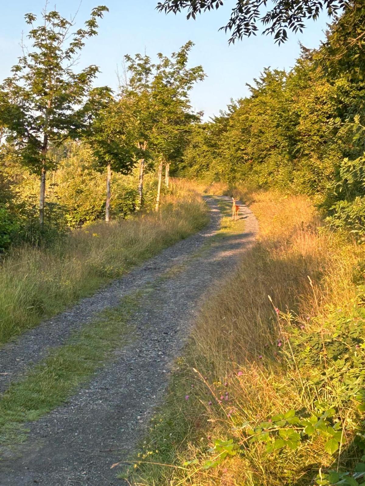 Dagmar's In * Winterberg